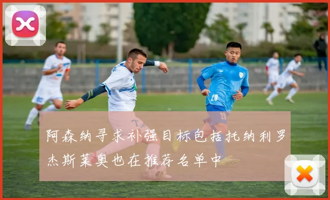 阿森纳寻求补强目标包括托纳利罗杰斯莱奥也在推荐名单中